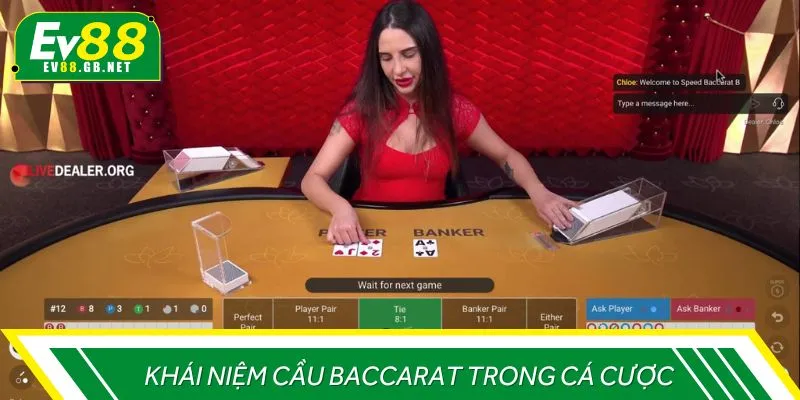Khái niệm cầu Baccarat trong cá cược