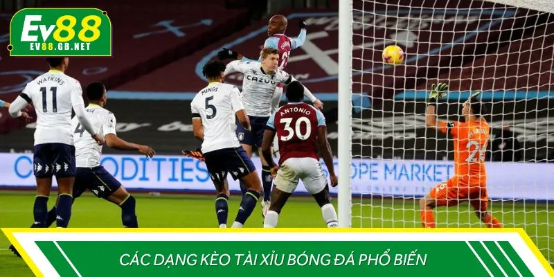 Các dạng kèo cược Tài Xỉu bóng đá phổ biến