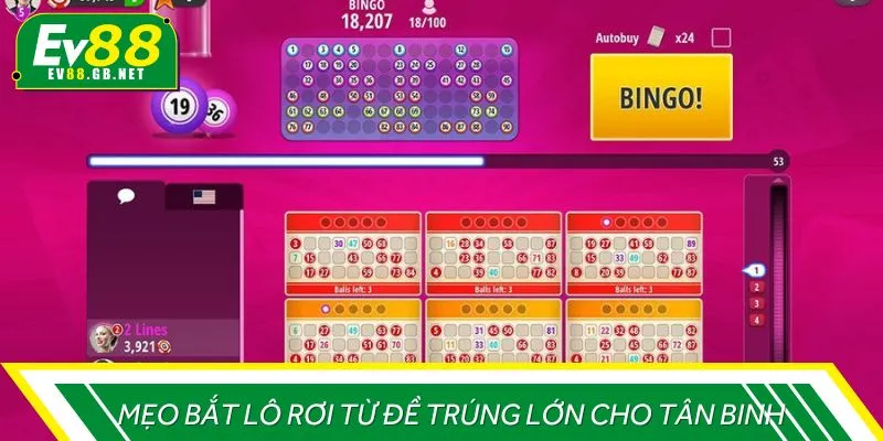 Mẹo bắt lô rơi từ đề trúng lớn cho tân binh